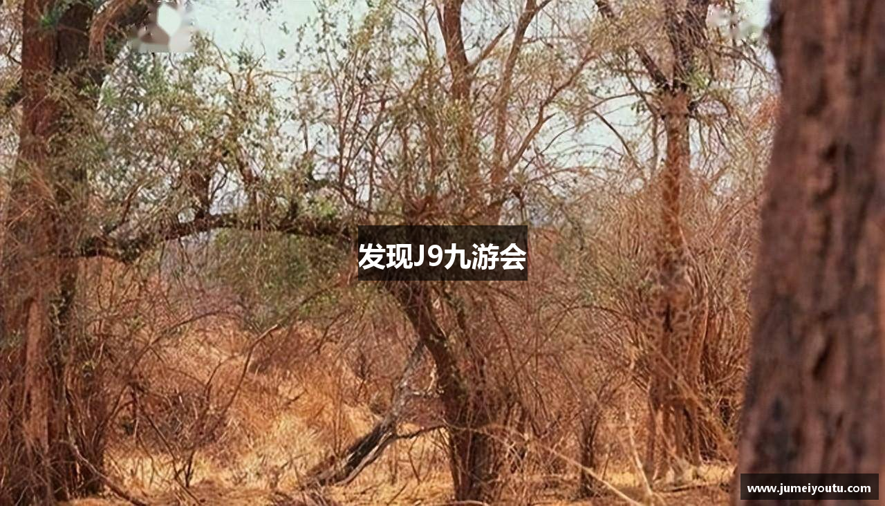 发现J9九游会